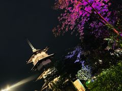 -海花岛旅游度假区