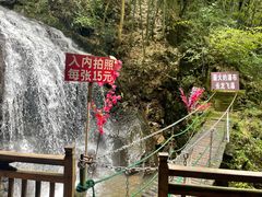 -藏龙百瀑风景区