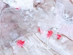 -码头故事火锅(大丰店)