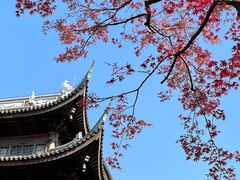 -龙华寺
