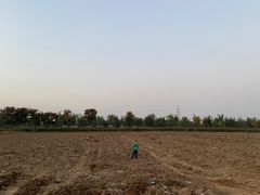 -汉长安城未央宫国家考古遗址公园