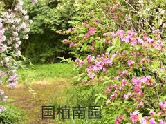 -国家植物园南园