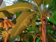 -北国之春国宴(乌兰察布店)