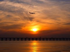 -宝安西湾红树林湿地公园