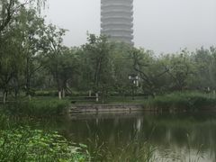 -西海子公园
