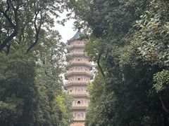 -灵谷景区