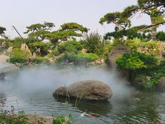 -罗红摄影艺术馆