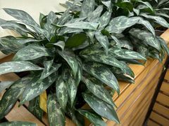 -连城·新天地(福华一路店)