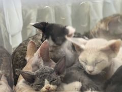 -重庆国际会议展览中心