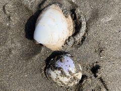 -启东黄金海滩景区
