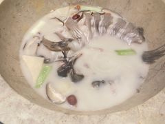 -云海肴云南菜·蒸汽石锅鱼(青岛万象城店)