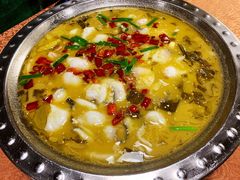 -陈生记黑鱼馆·20年活鱼现杀(宁波鼓楼店)