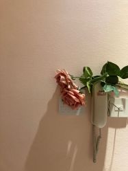 -蕾蕾美颜美容美体