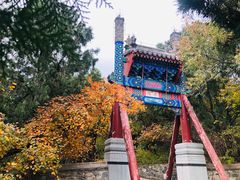 -香山公园