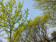 -木守西溪溪隐餐厅