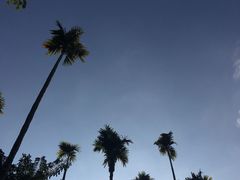 -海南槟榔谷黎苗文化旅游区