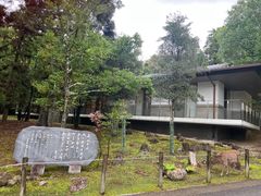 -奈良公园
