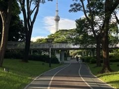 -文华公园(禅城区)