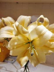 -北京俪婴妇产医院(朝阳大悦城店)