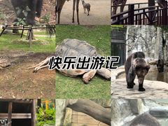 -灵玲国际马戏城