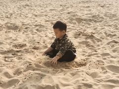 -青枫公园