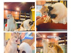 -咖法森林·咖啡  酒吧(天河店)