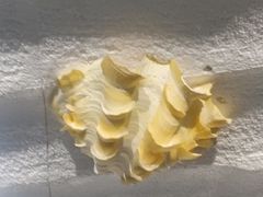 -青岛贝壳博物馆