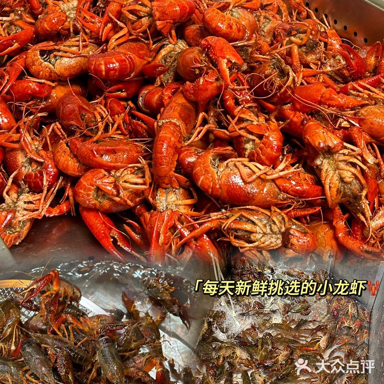 来拙味兄弟实现小龙虾自由啦🔥