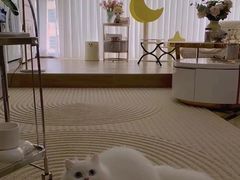 -Bastet sally猫舍购宠(静安店)