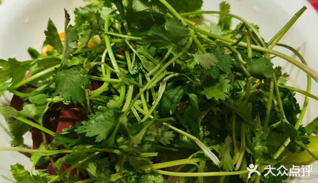 长寿路值得拔草的网红羊肉馆