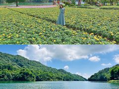 -广州市石门国家森林公园