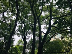 -徐家汇源景区-衡山公园