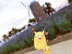 -玫瑰海岸文化旅游度假区