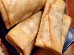 牛肉春卷-手选潮汕鲜活牛肉火锅(二七广场店)