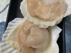 扇贝-丽江庭院·云南野生菌·海鲜火锅(鼓楼四合院店)