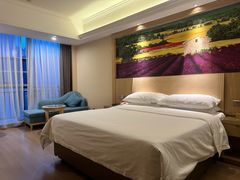 -维也纳酒店(重庆西站巴国城店)