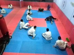 场馆-金翼跆拳道巴西柔术拳击格斗学院