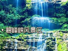 -碧峰峡风景区