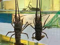 -碗中海·蒸汽海鲜·桑拿鸡(岭南天地店)