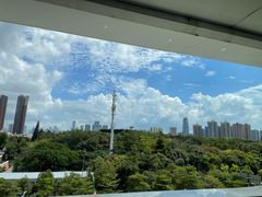 -百年果林椰子鸡(中洲店)