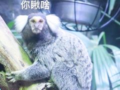-红山森林动物园