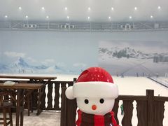 -哈尔滨热雪奇迹