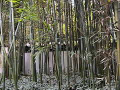 -成都杜甫草堂博物馆