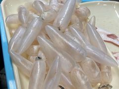 -章记正宗南岗鱼蛋火锅