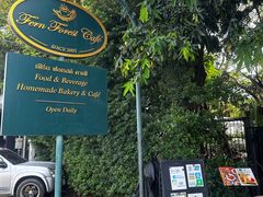 -Fern Forest Cafe