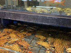 -小厨师·二十年沈家门小海鲜(百井坊巷店)