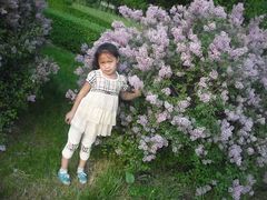 -长春公园(普阳街道)