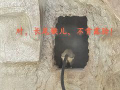 -石家庄市动物园