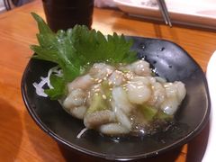 芥末章鱼-三月居酒屋(青年大街店)