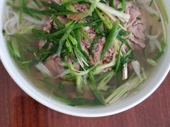 肉片，肉丸，牛筋-Pho Hoa Pasteur